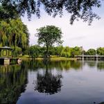 Boston Public Garden