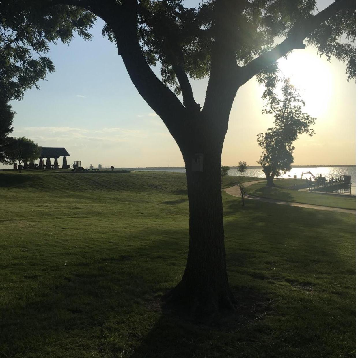 Beautiful Picnic Sunset
