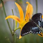 Simply enjoy nature