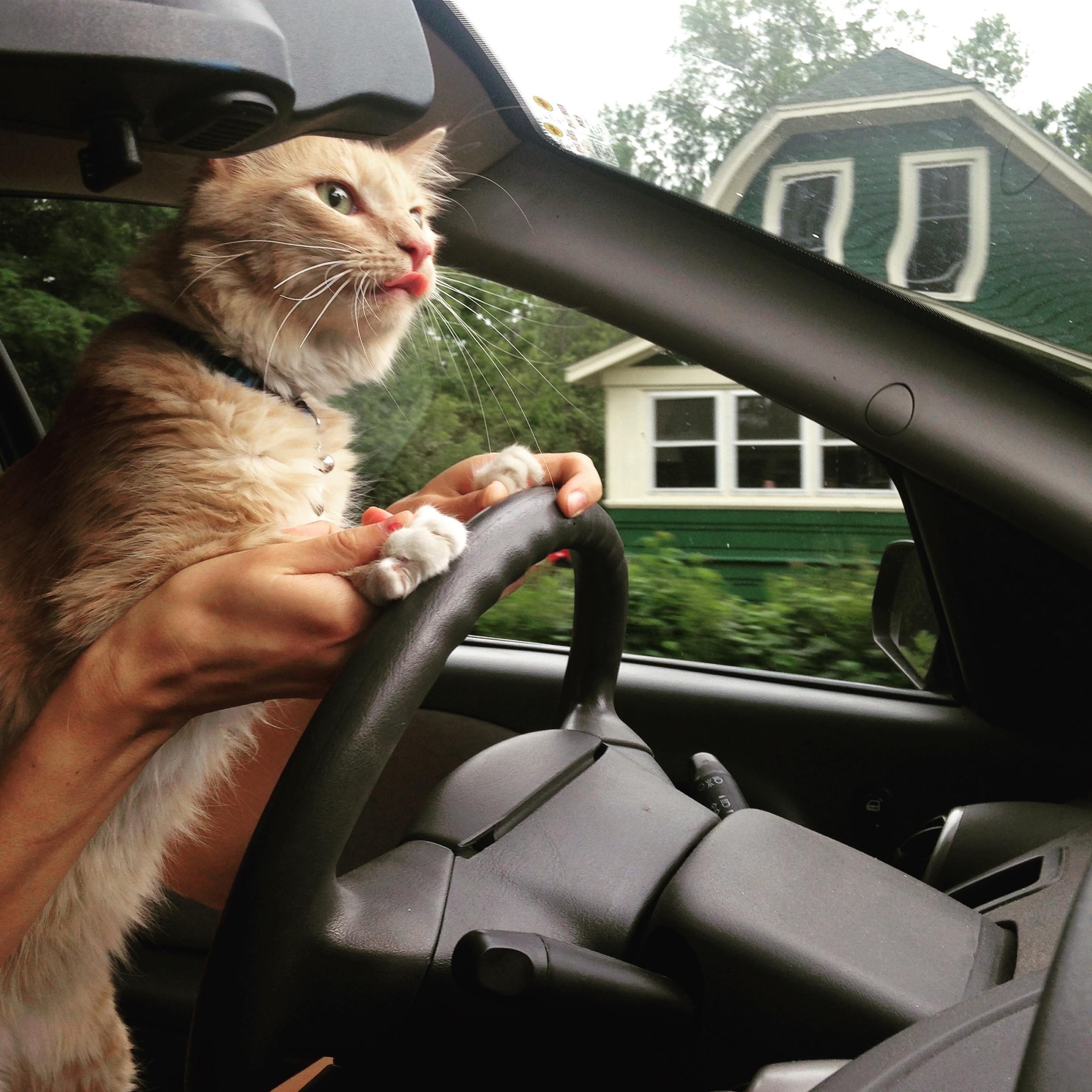 The Wedding Website of Leslie Tunmore and John Fleming