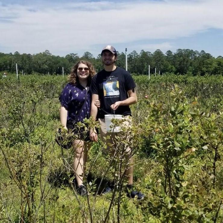Blueberry picking!