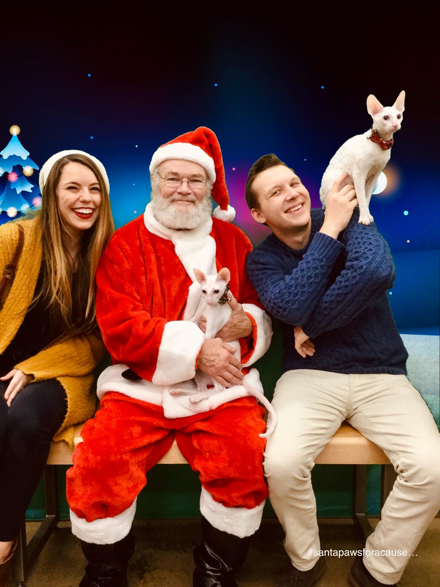 Our first family Christmas card!