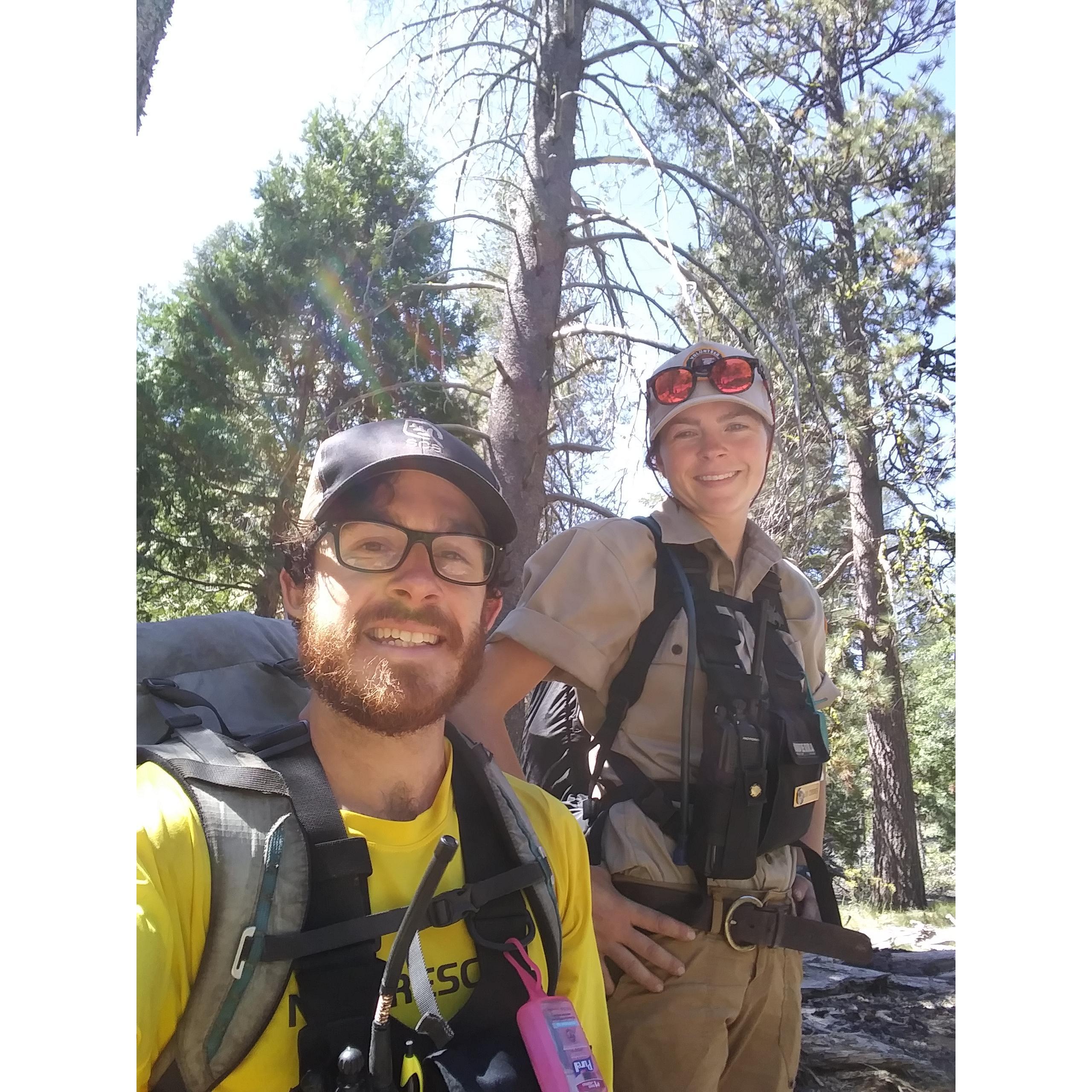 Working together on a bear capture in Yosemite