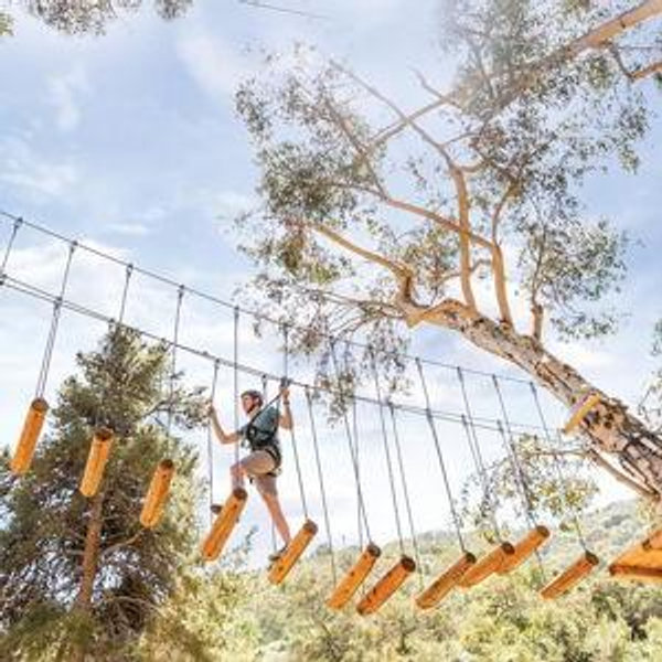 Zipline and High Ropes Courses