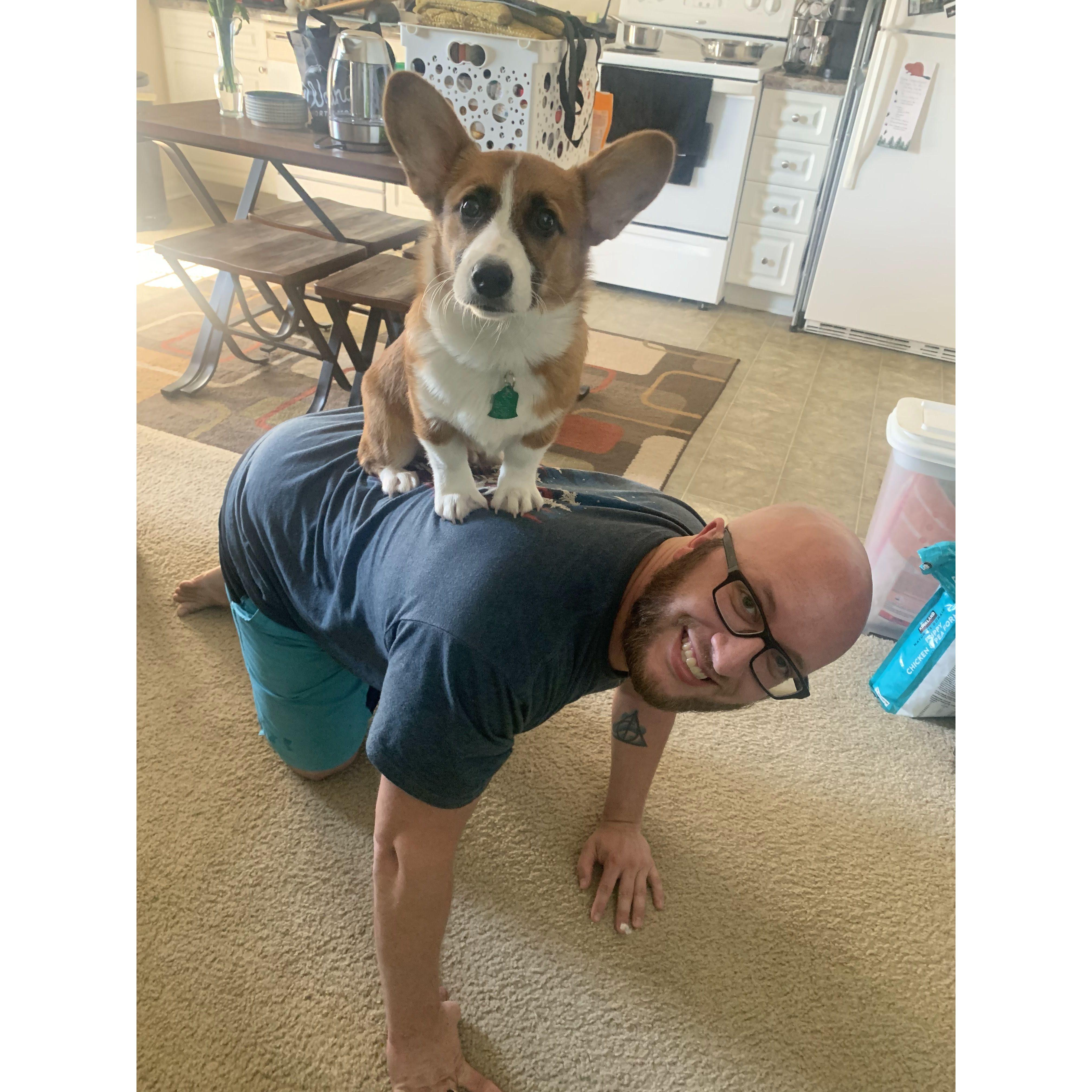 Alfie - 5.5 months old (Aug 2023)