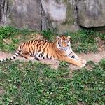 Columbus Zoo and Aquarium