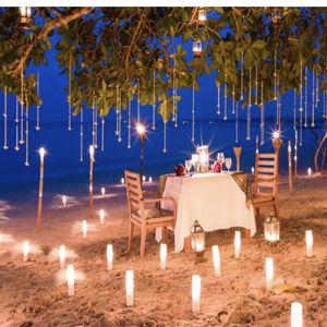 Private Candlelight Dinner on Our Honeymoon
