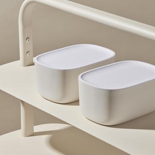 Small Storage Bin with Lid, Set of 2