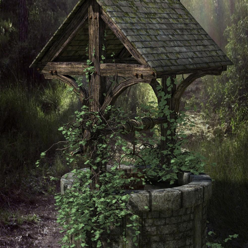 Our Wishing Well