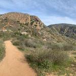 Hiking