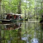 Kliebert & Son’s Gator Tours