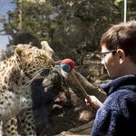 Cheyenne Mountain Zoo