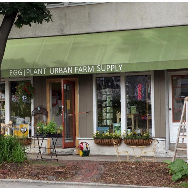 Urban Eggplant Farm Supply