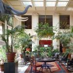 George Eastman Museum