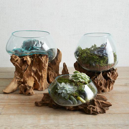 Wood + Glass Terrariums
