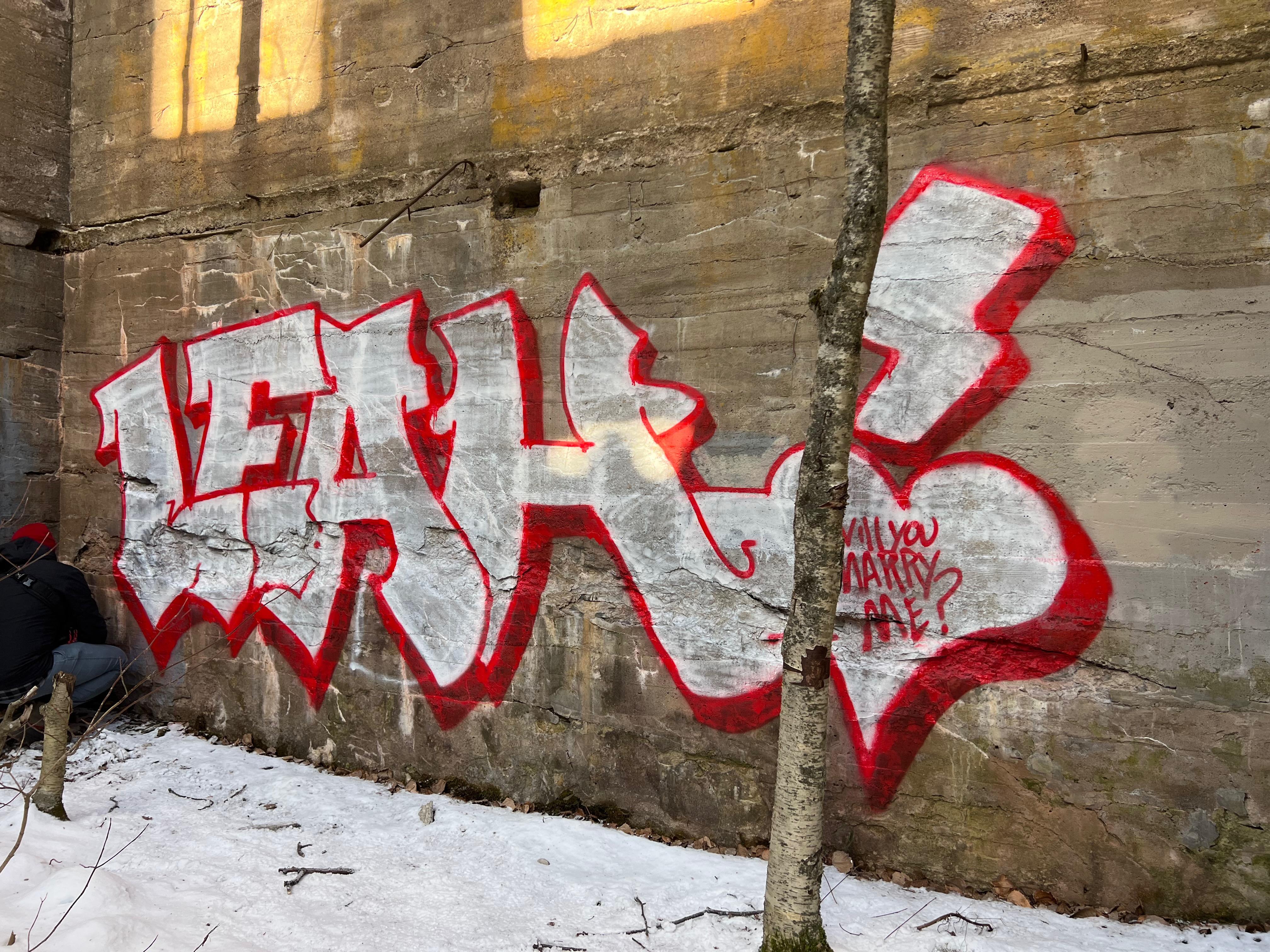 The Wedding Website of Leah Loerinc and Dan Dewberry