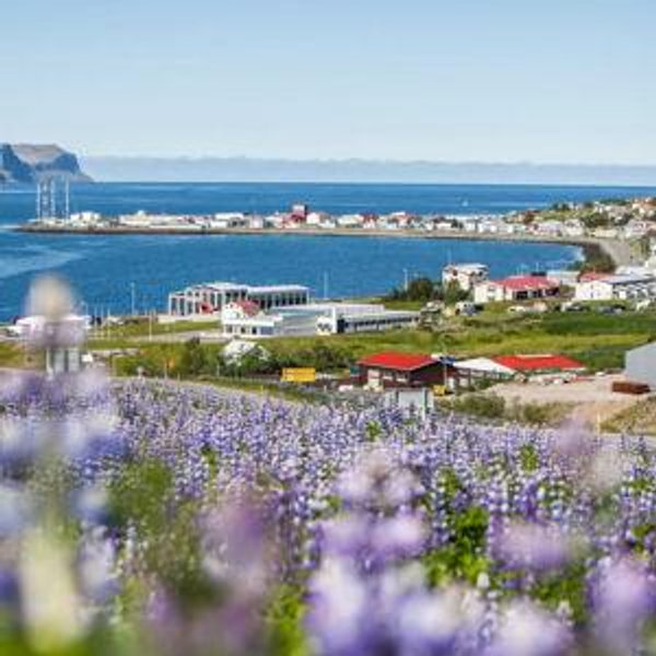 1 Night Hotel Stay in Patreksfjörður with Breakfast