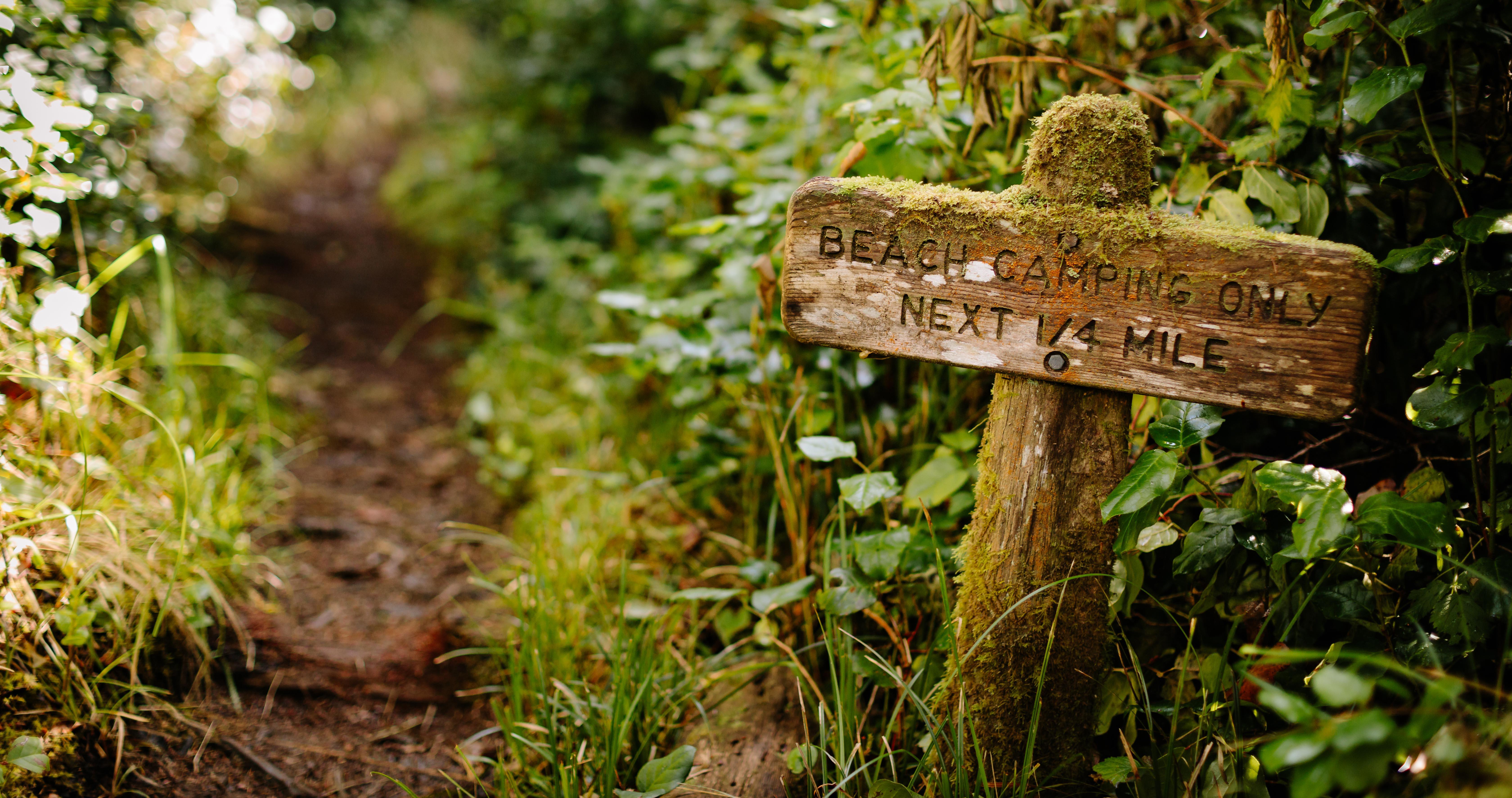 The Wedding Website of Nathania ten Wolde and Kelly Scott