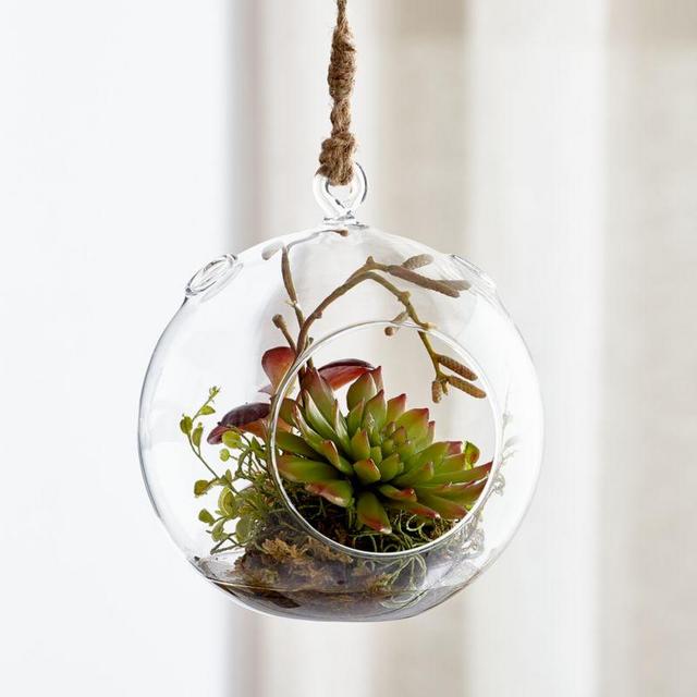 Hanging Glass Terrarium