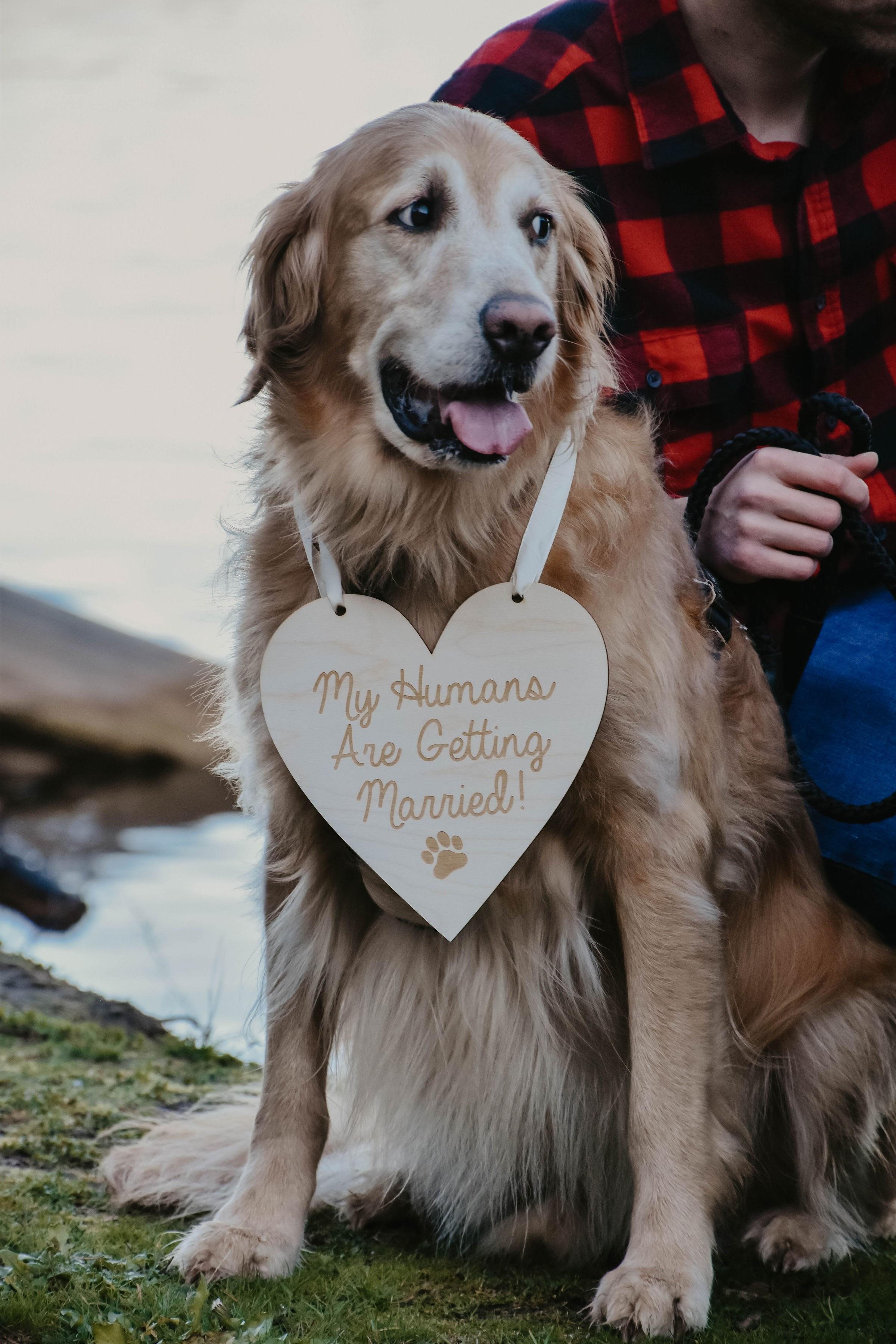 The Wedding Website of Christianne Burgonio and David Hunnicutt