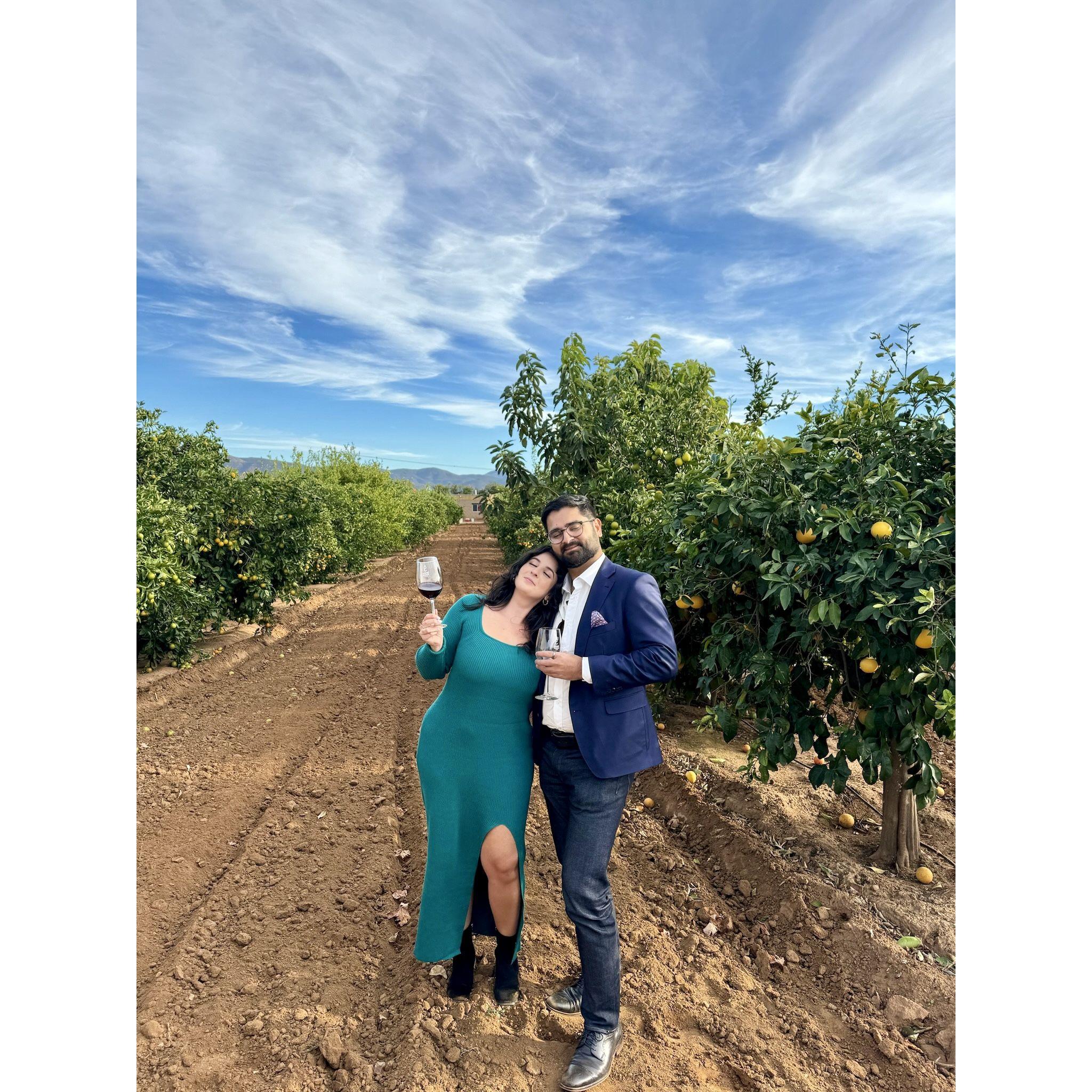 Valle de Guadalupe, Mexico