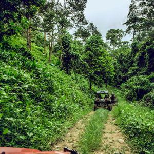 Honeymoon ATV Adventure Tour