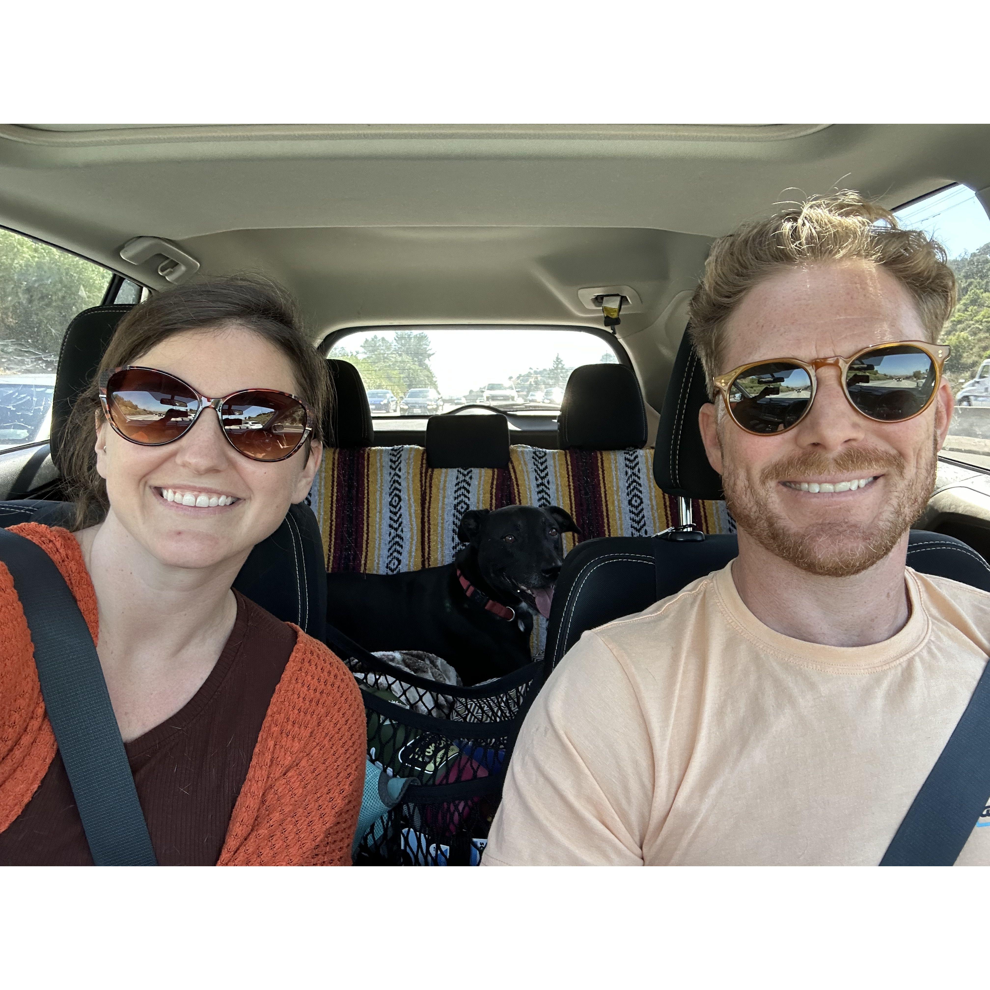 July 2023 - road trip with the fur babies to Santa Cruz for a weekend getaway in the redwoods.