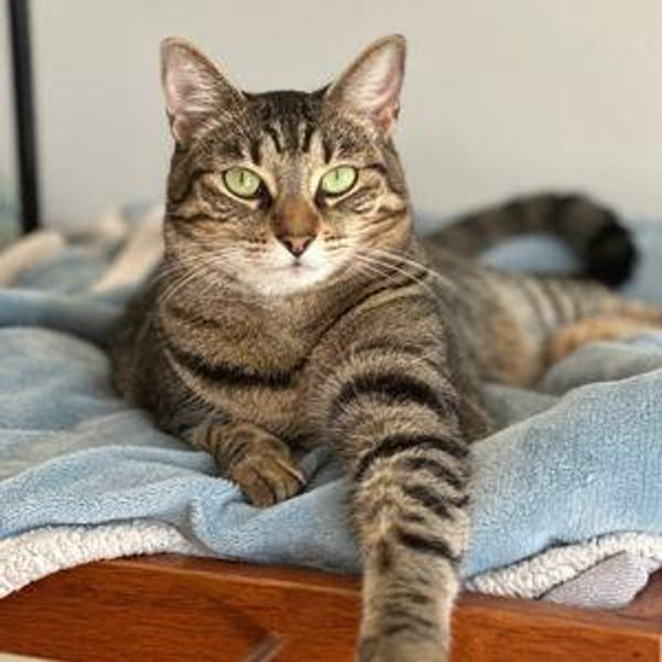 Help us move to Germany!