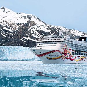 Alaskan Cruise Honeymoon Fund