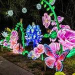 San Antonio Botanical Garden- Illuminate