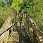 Hike Mount Pisgah