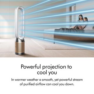 Dyson, Purifier Cool PC2 De-NOx Purifying Fan | Zola