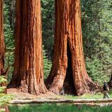 Central California's national parks!