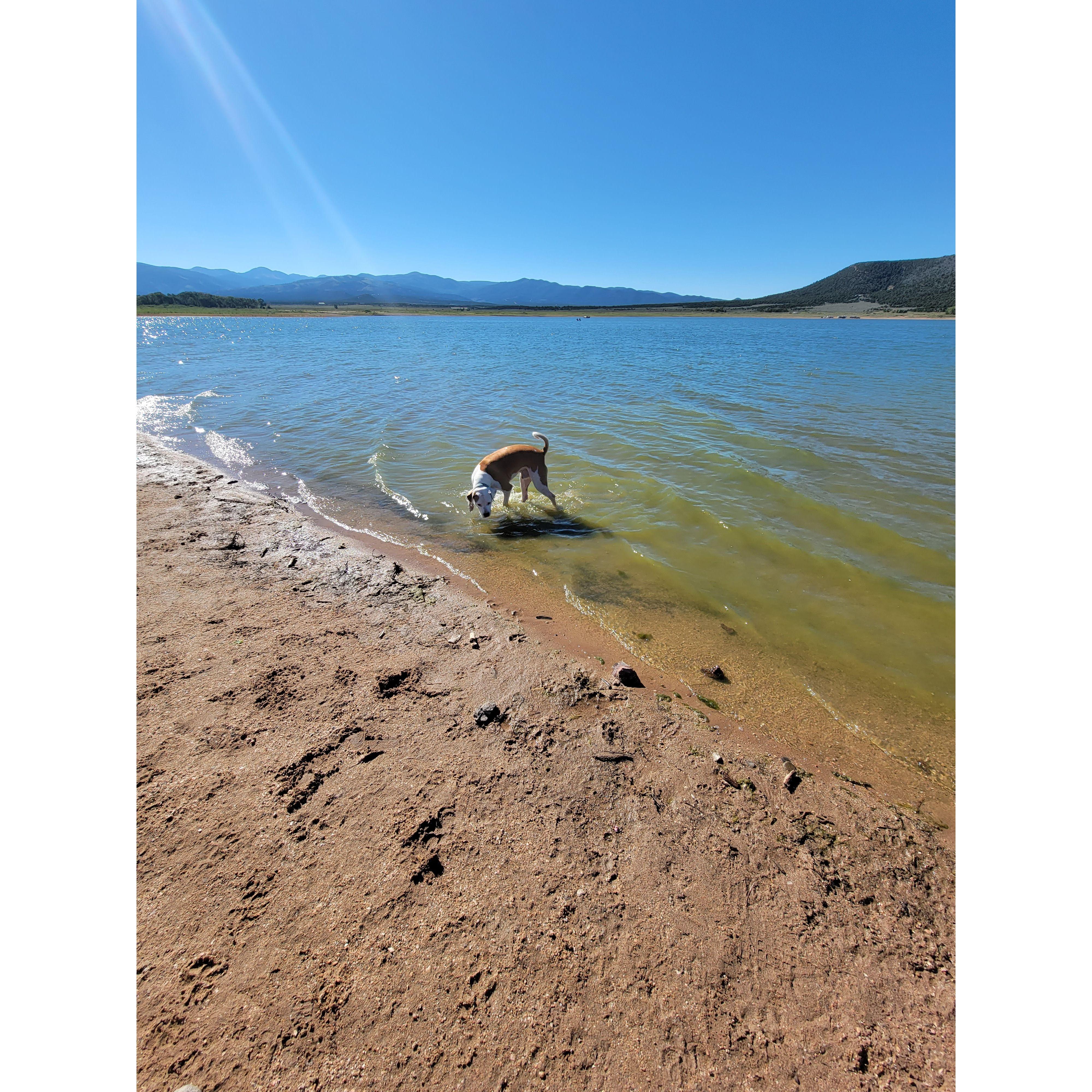 Gibbs at Mountain Home Reservoir 2022