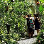 GAMBOA – CANAL ZONE