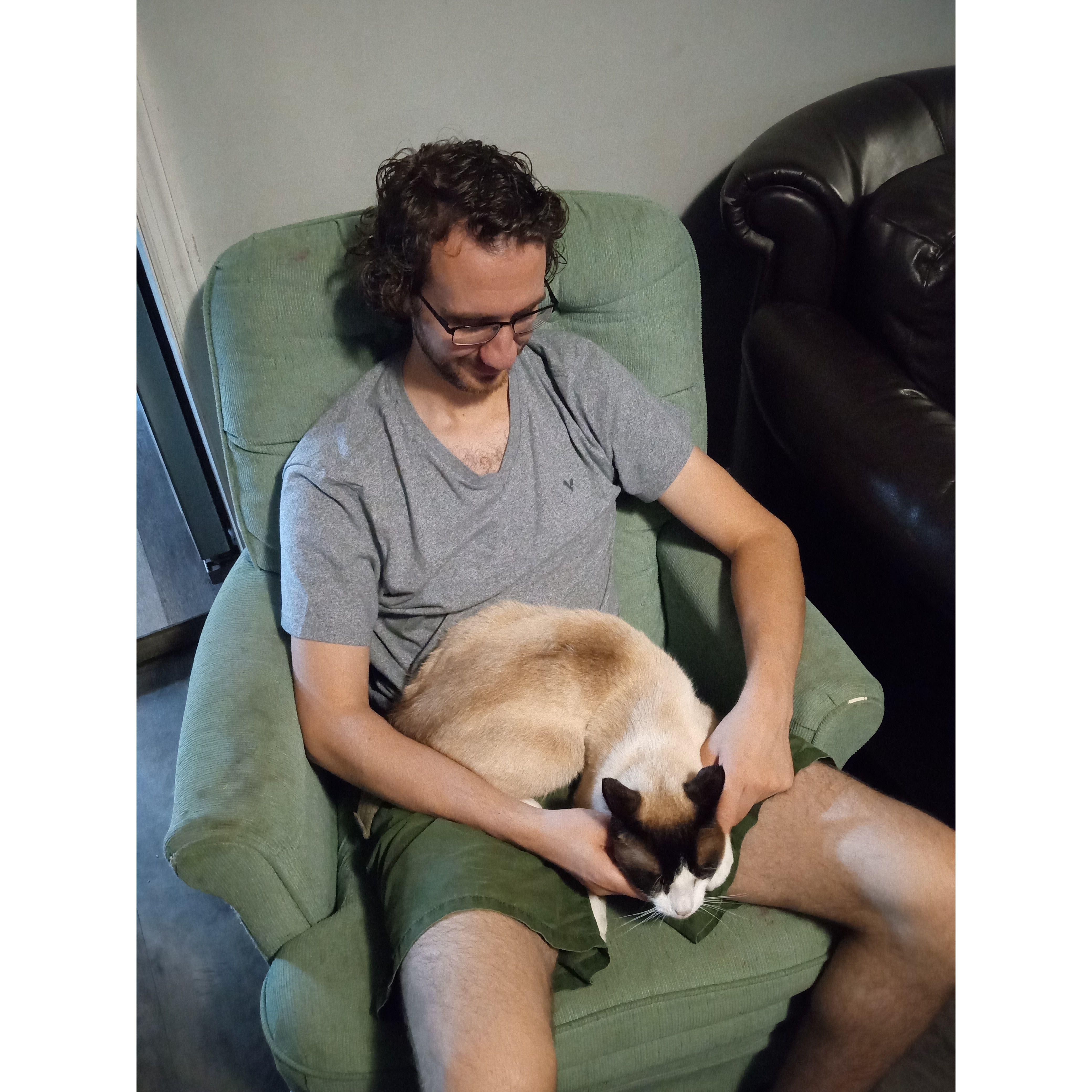 We both like cats a lot.