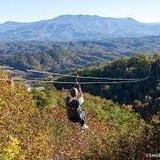 Legacy Mountain Ziplines