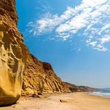 Torrey Pines Trail