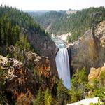 Yellowstone National Park North Entrance