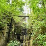 Foxfire Adventure Park