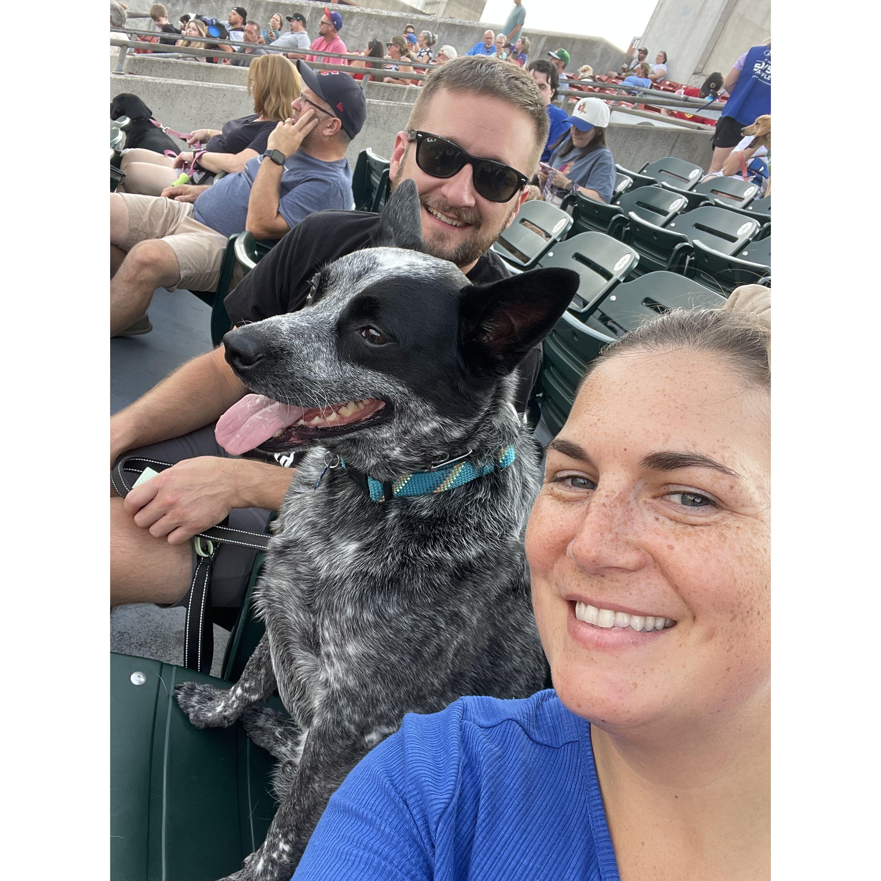 Buddy’s first Buffalo Bison’s game this year! He loved it!