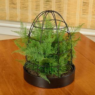 Artificial Asparagus Fern Arrangement