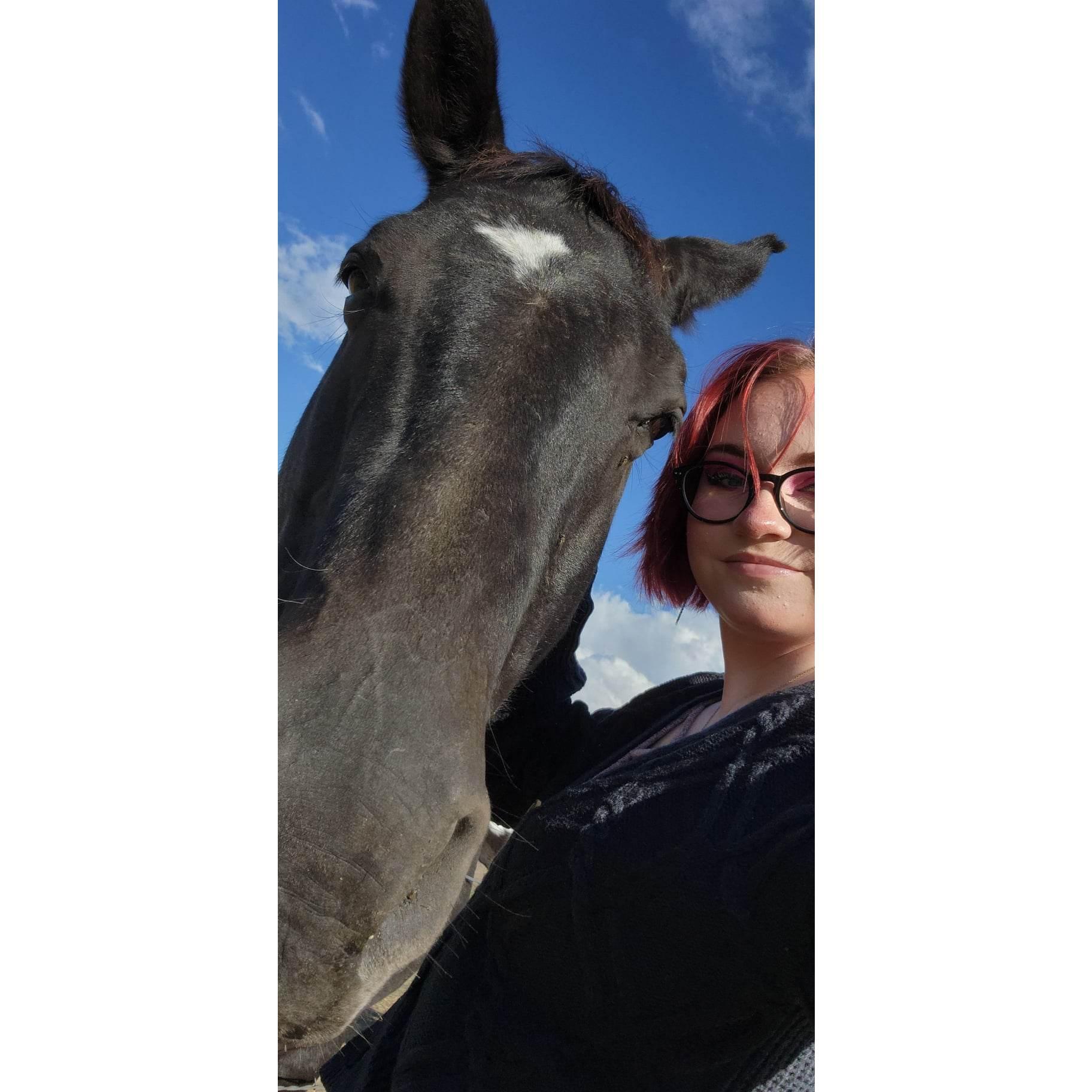 Day Trip To See Horses!