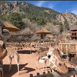 Cheyenne Mountain Zoo