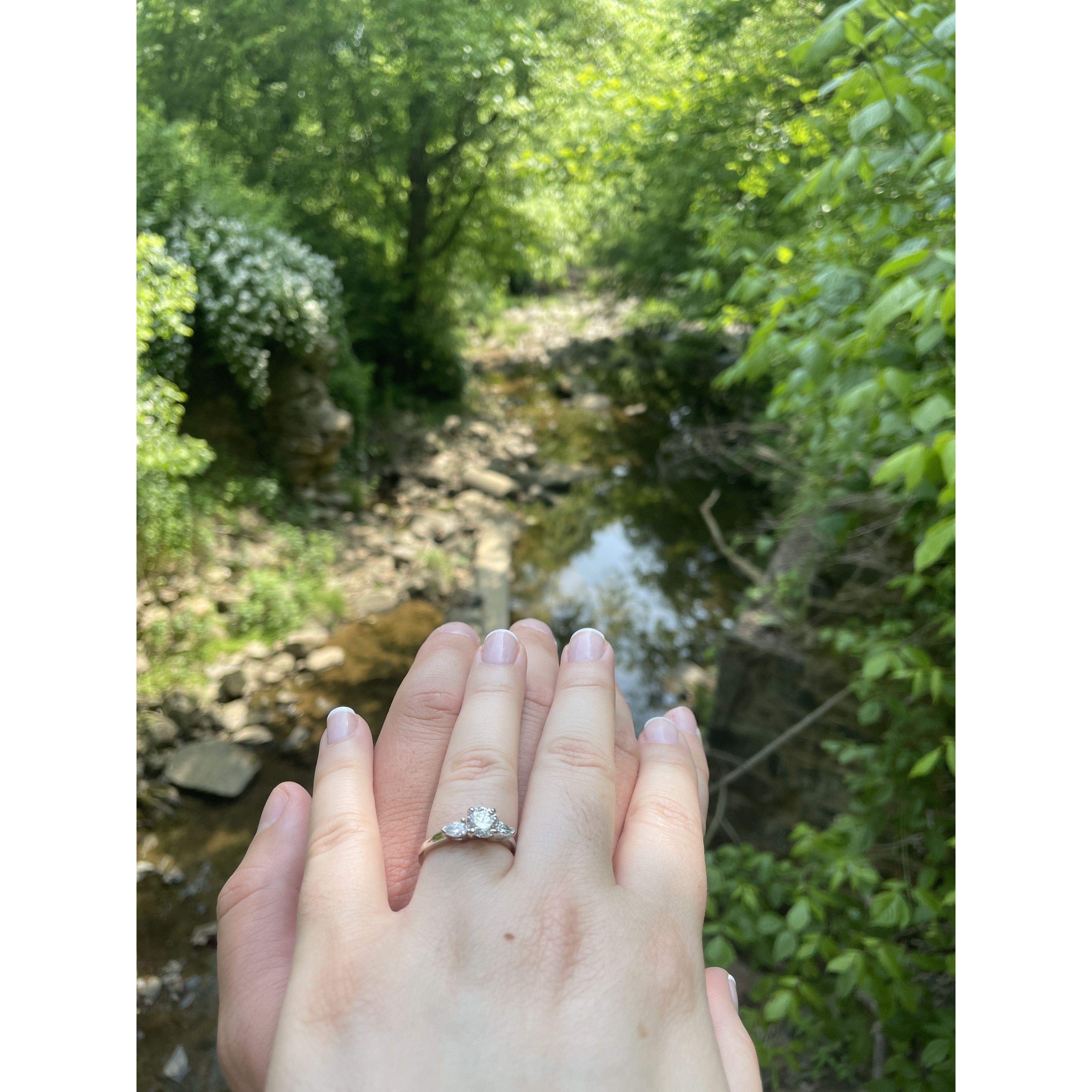 We got engaged on a hike at Brandywine State Park