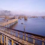 Billy Frank Jr. Nisqually National Wildlife Refuge