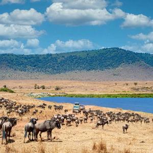 Honeymoon Fund - Ngorongoro Park Entrance Fee