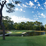 Heron Point by Pete Dye