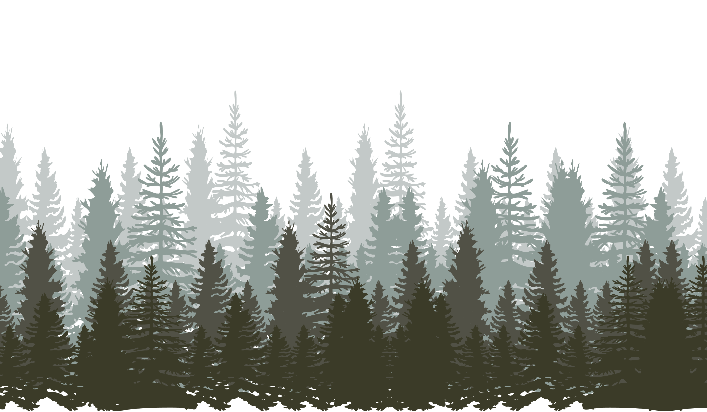 Footer image