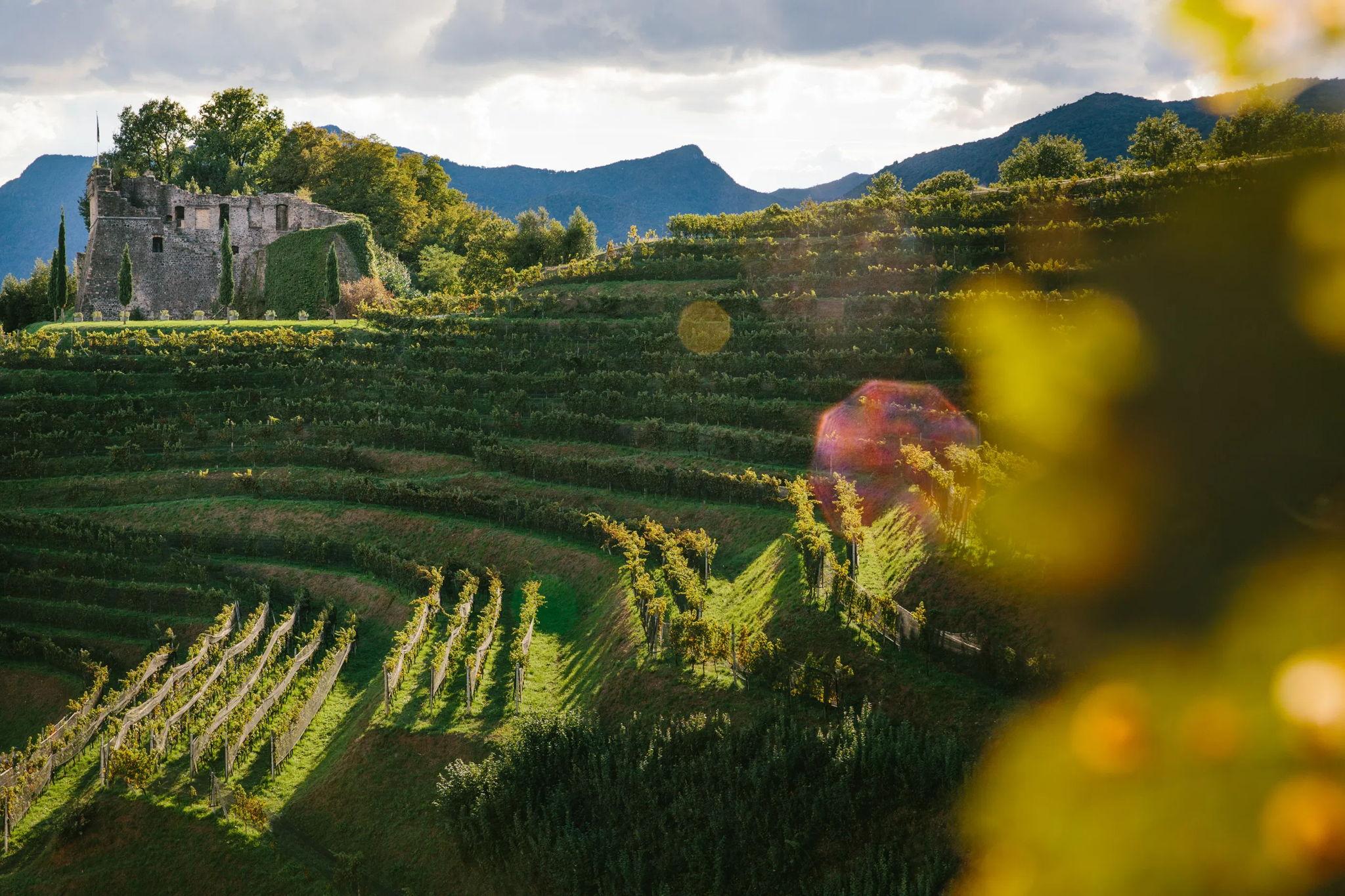 The Wedding Website of Antonia Gillmeister and Constantin Gillmeister